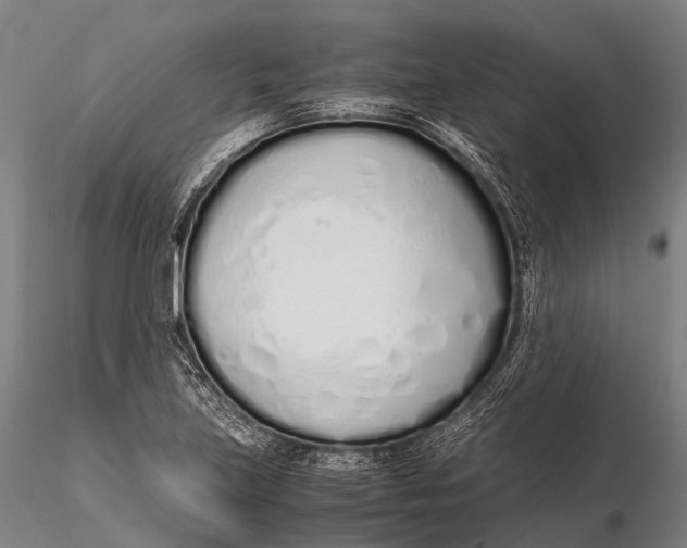 X0000115621219200912011607