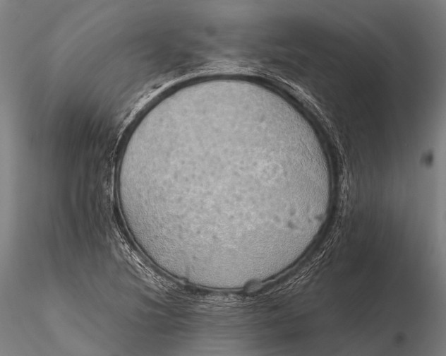 X0000115621220200912011607