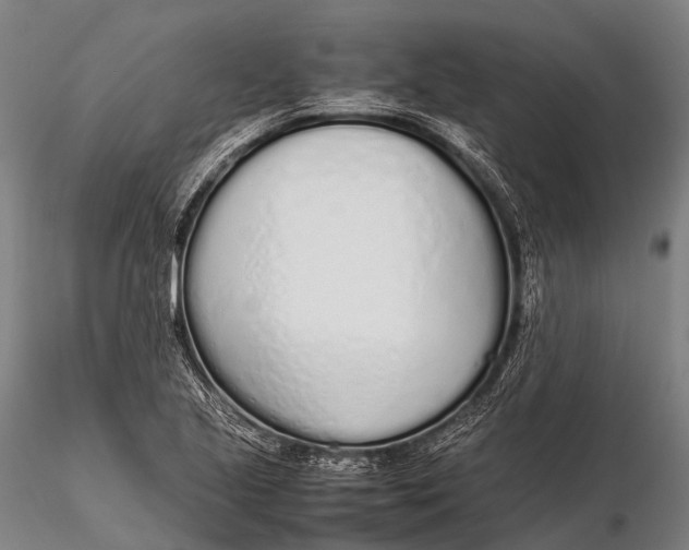 X0000115621221200912011607