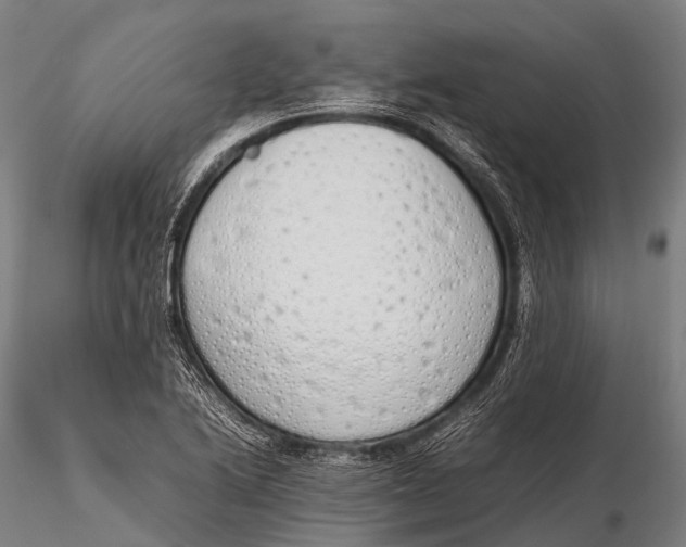 X0000115621222200912011607