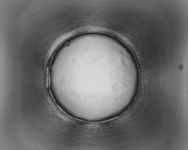 X0000115621223200912011607