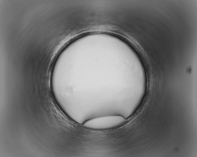 X0000115621224200912011607