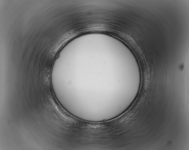 X0000115621225200912011607