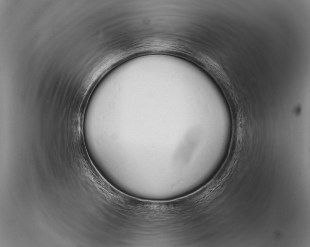 X0000115621226200912011607