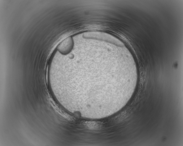 X0000115621227200912011607