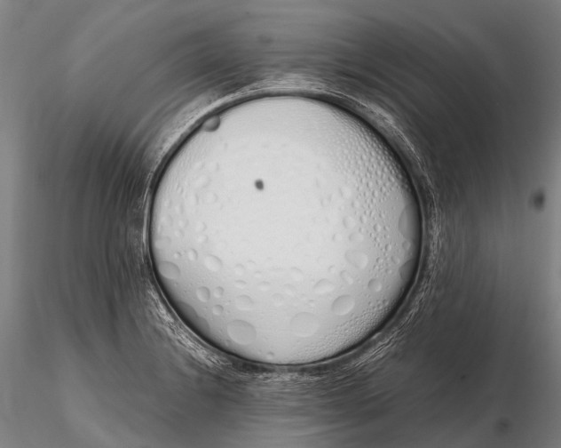 X0000115621228200912011607