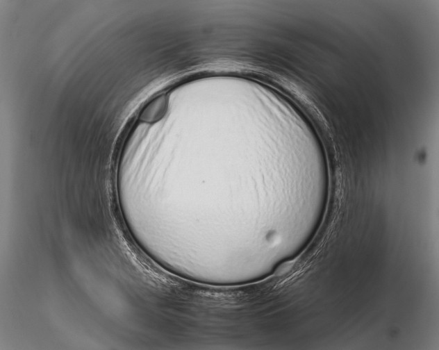 X0000115621229200912011607