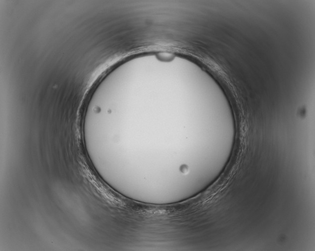 X0000115621230200912011607