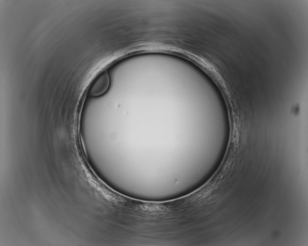 X0000115621231200912011607