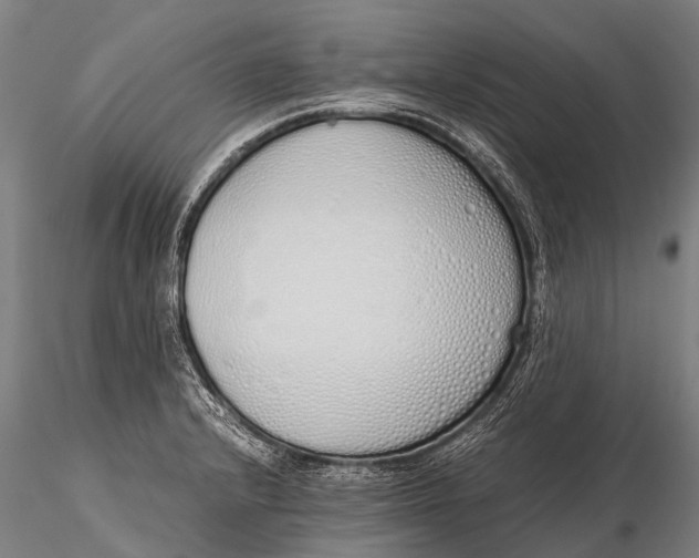 X0000115621232200912011607