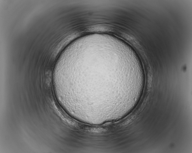 X0000115621233200912011607