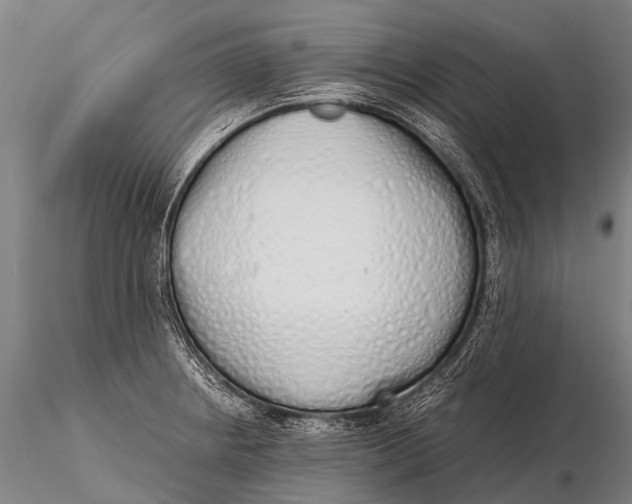 X0000115621234200912011607