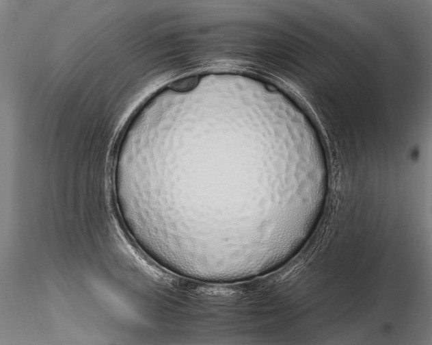 X0000115621235200912011607