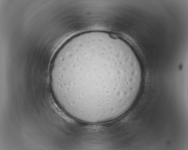 X0000115621236200912011607