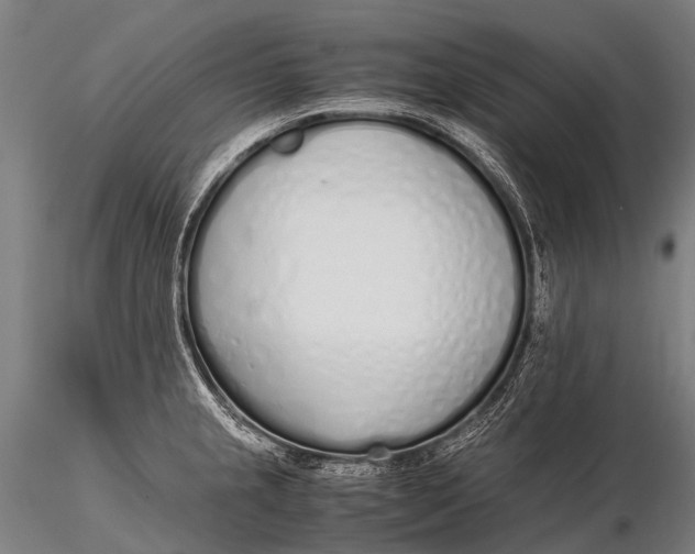 X0000115621237200912011607