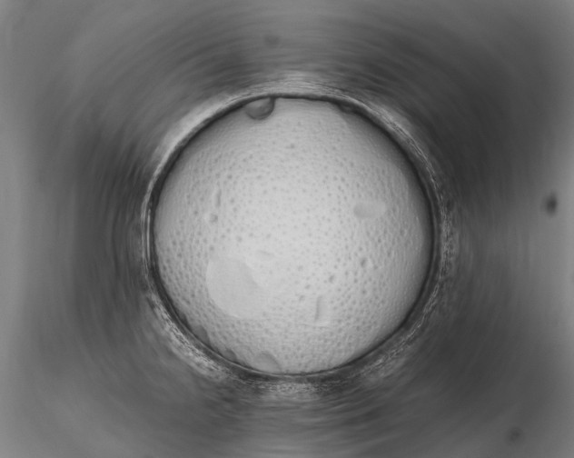 X0000115621238200912011607