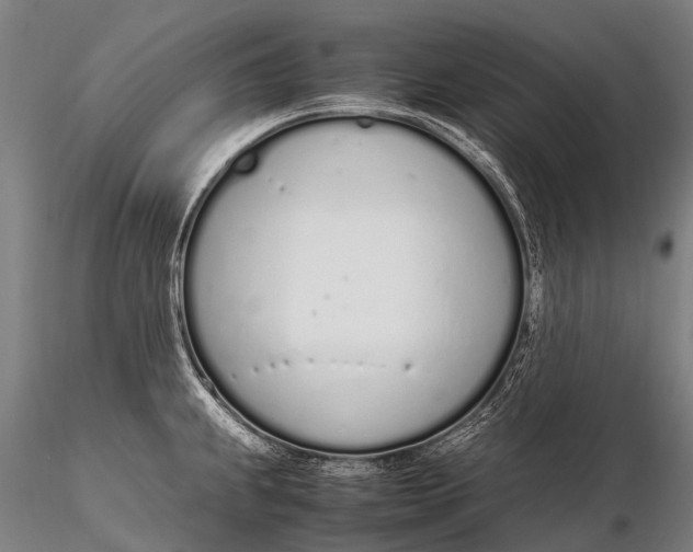 X0000115621239200912011607