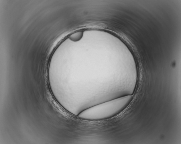 X0000115621240200912011607