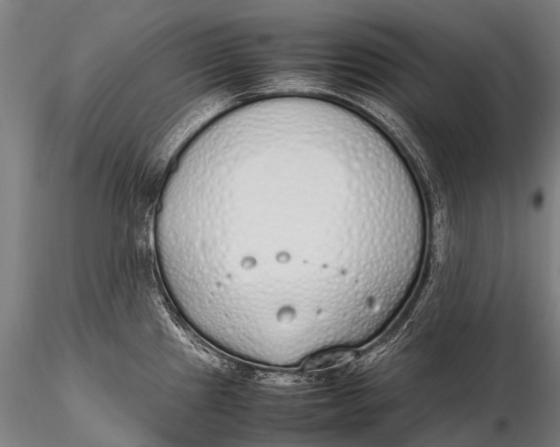 X0000115621241200912011607