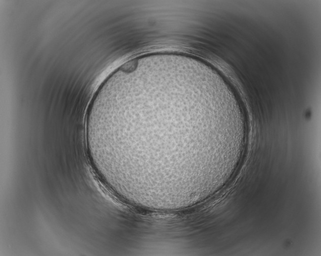 X0000115621242200912011607