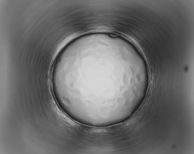 X0000115621243200912011607