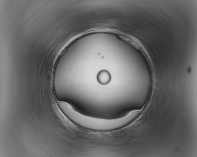 X0000115621244200912011607