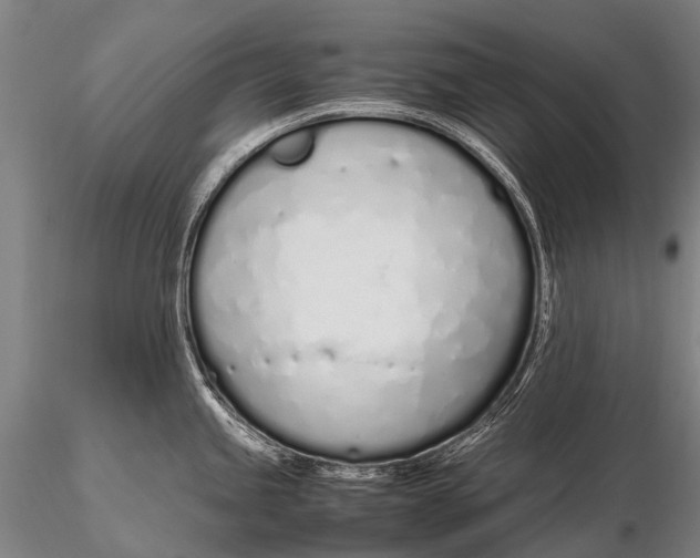 X0000115621245200912011607