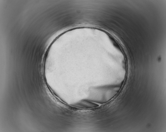 X0000115621246200912011607