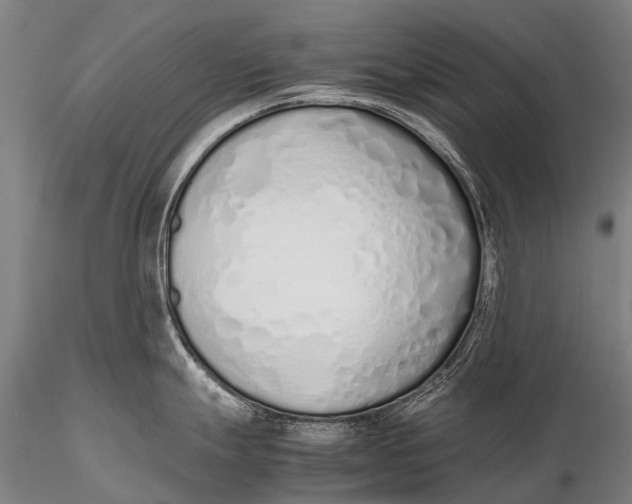 X0000115621247200912011607