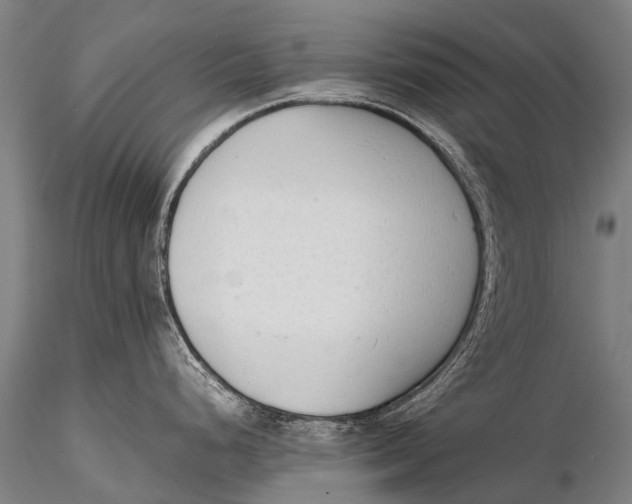 X0000115621248200912011607