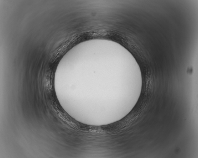 X0000115621250200912011606