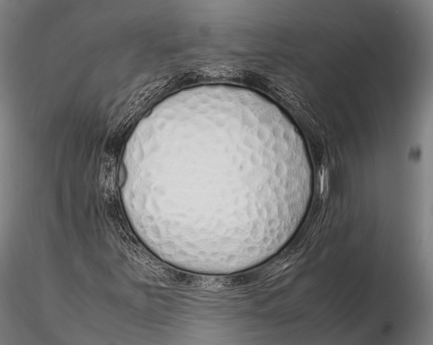 X0000115621251200912011606