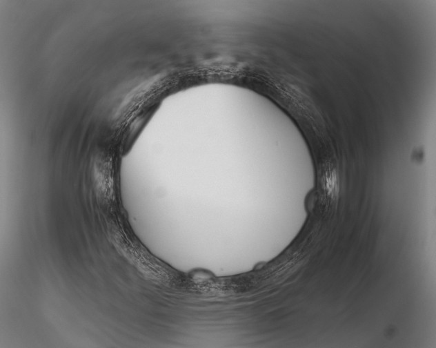 X0000115621252200912011606