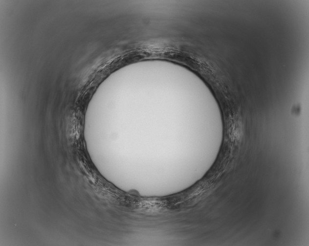 X0000115621253200912011606