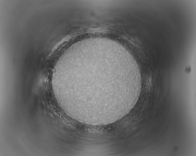 X0000115621254200912011606