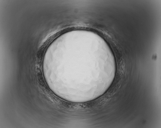 X0000115621255200912011606