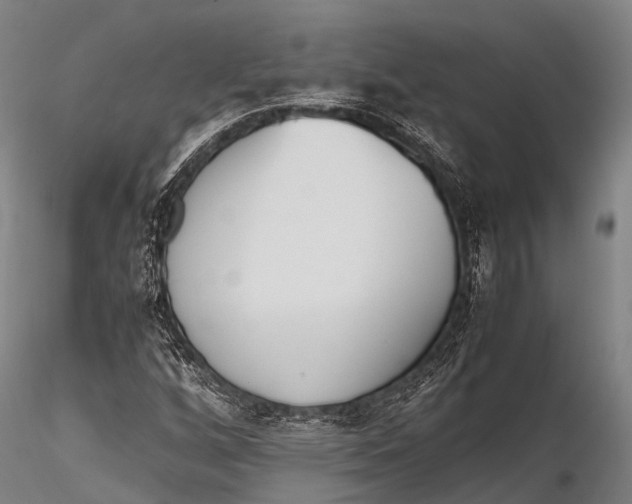 X0000115621256200912011606