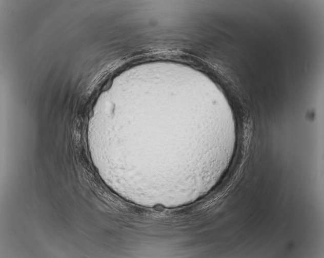 X0000115621257200912011606