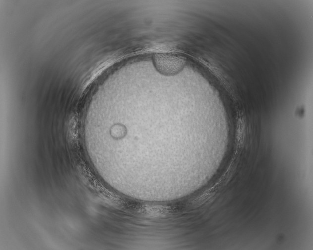 X0000115621258200912011606