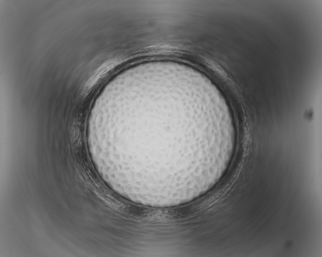 X0000115621259200912011606