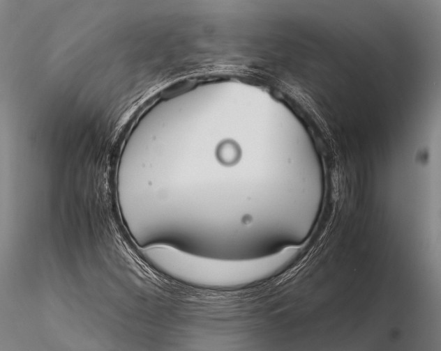 X0000115621260200912011606