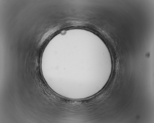 X0000115621261200912011606