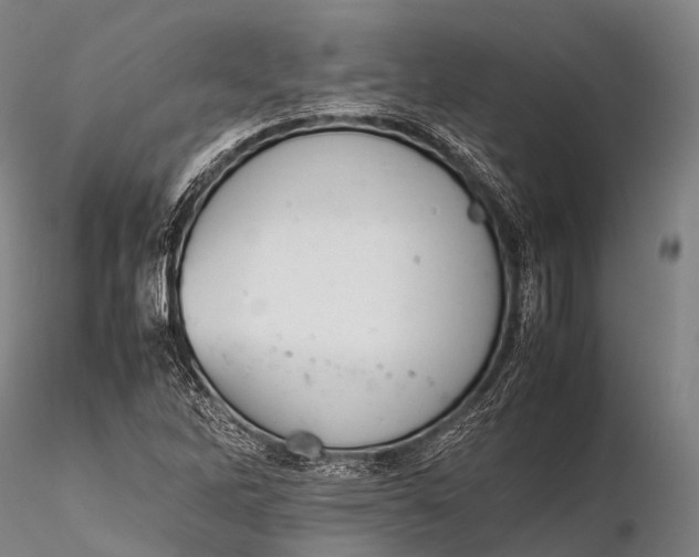 X0000115621262200912011606