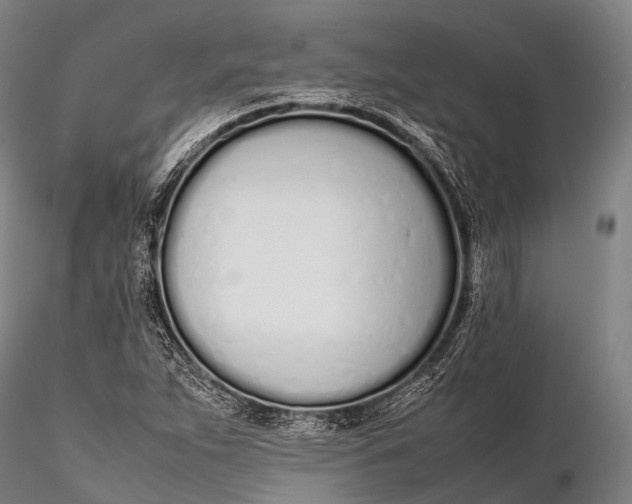 X0000115621263200912011606