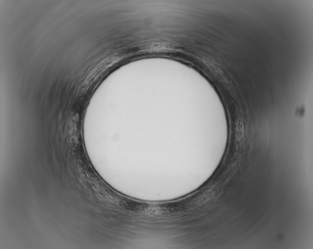 X0000115621265200912011606