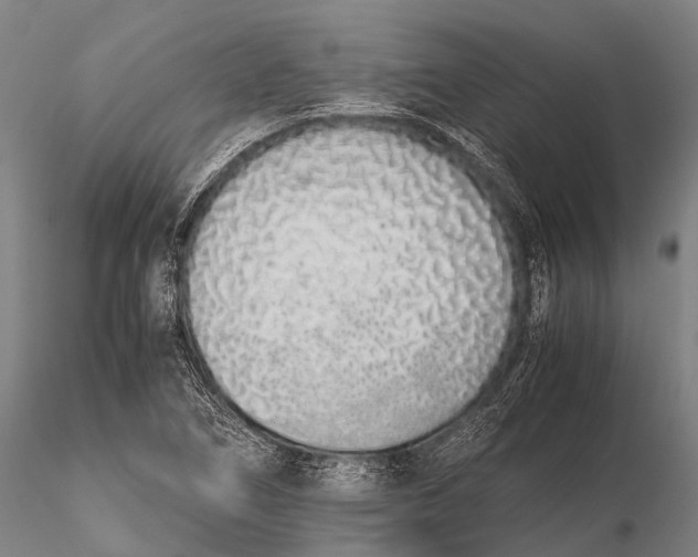 X0000115621266200912011606