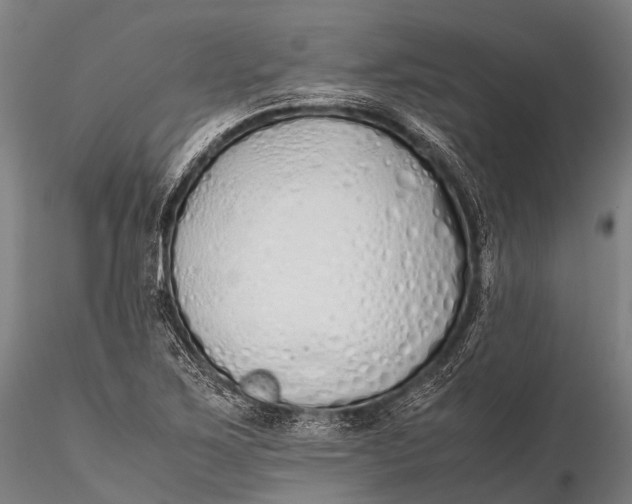 X0000115621267200912011606