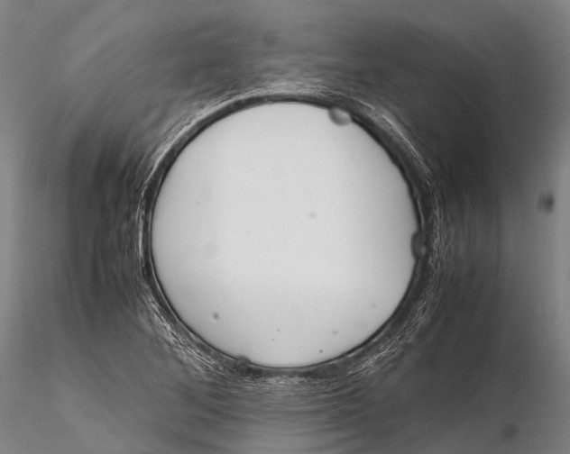 X0000115621268200912011606