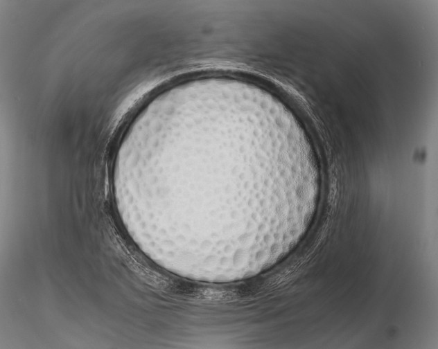 X0000115621271200912011606