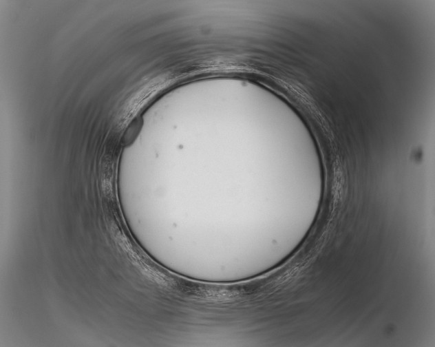 X0000115621273200912011606